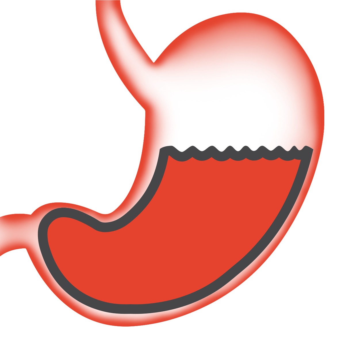 GASTRITE NERVOSA: cause, sintomi e trattamento