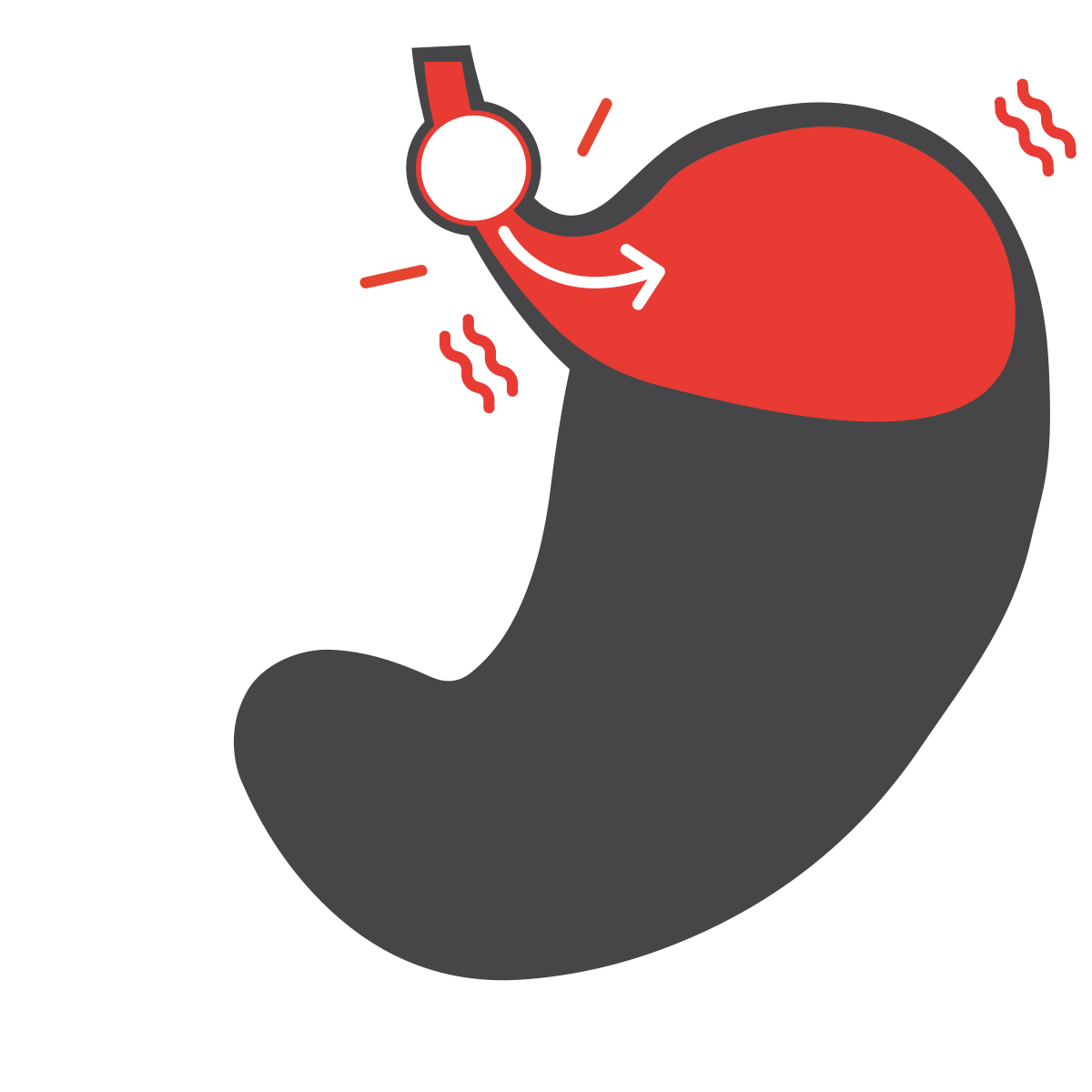 Peristalsi:  che cos'è e qual è la sua funzione