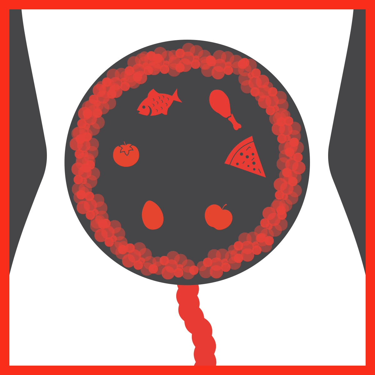 Alimenti che assorbono i gas intestinali