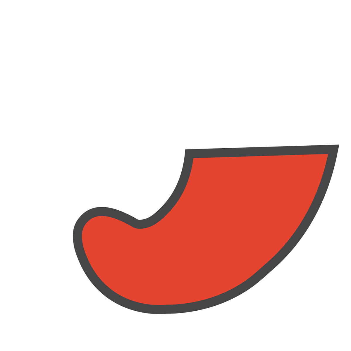 Bolo, chimo e chilo:  cosa sono e a cosa servono