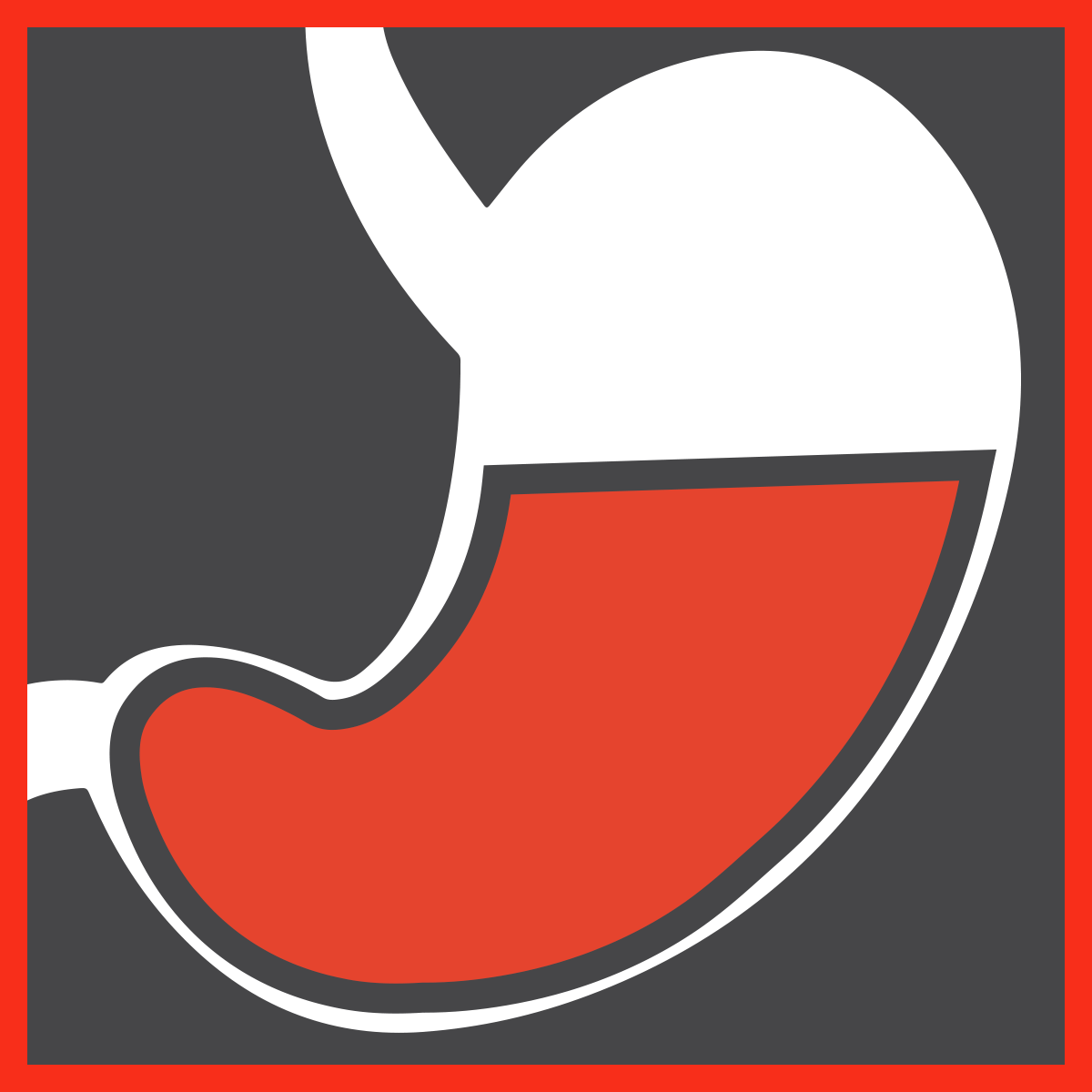 Bolo,<br>chimo<br>e chilo